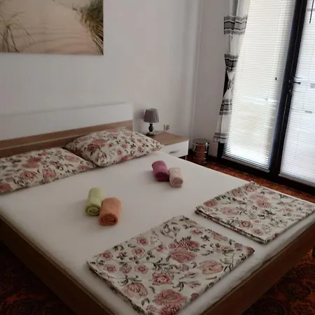 Lulu * Zadar